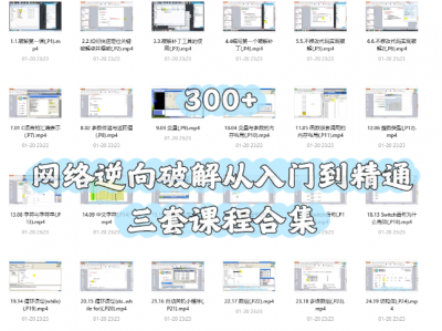 【300+课】网络逆向破解从入门到精通三套课程合集