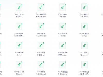 2024车载U盘，无损高音质Mp3格式【41GB】