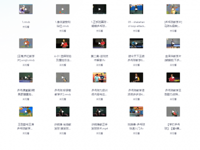 乒乓球从入门到精通教程