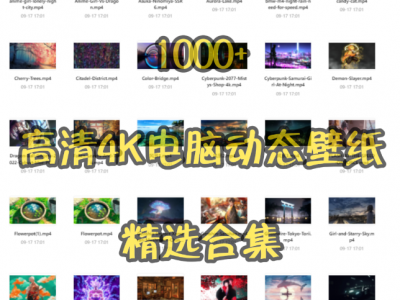 【88G 1000+】高清4K精美电脑动态壁纸合集